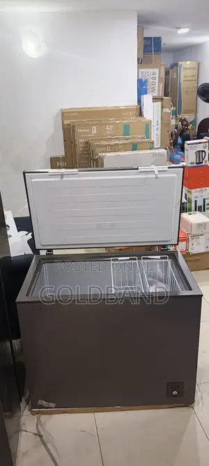 Hisense 250L Freezer for Bulk Food Storage
