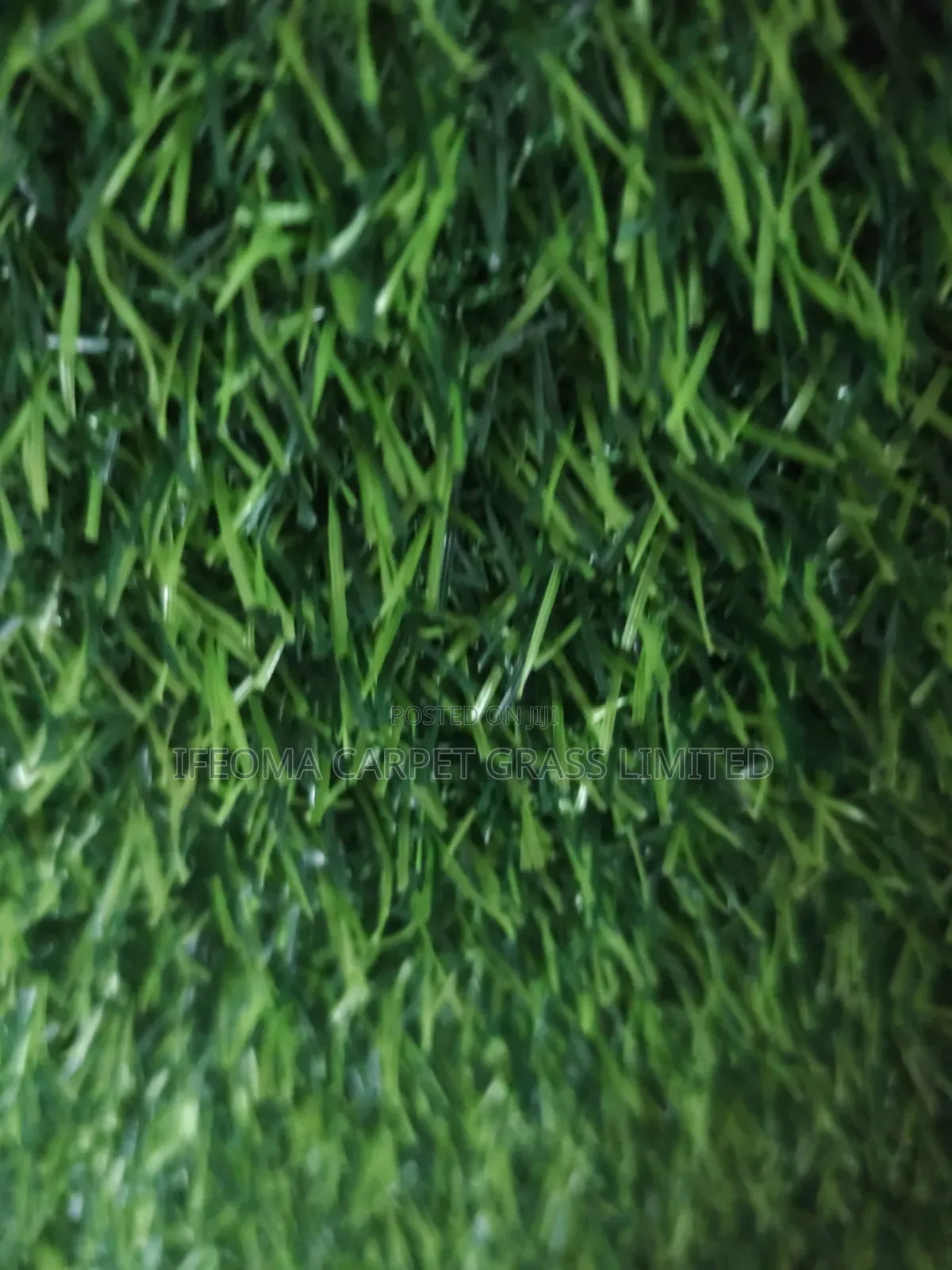 Artificial Grass 20mm