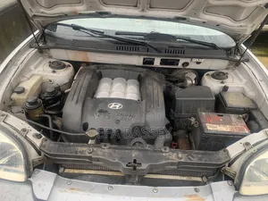 Hyundai Santa Fe 2002 Silver