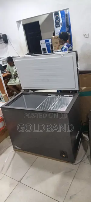 Hisense 250L Deep Freezer Low Energy Use