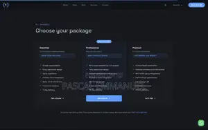Website Developer