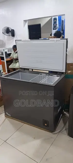 Hisense 250L Chest Freezer for Shops