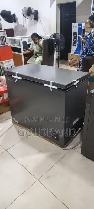 Hisense 250L Chest Freezer Heavy Duty