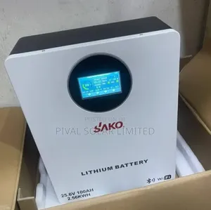 2.5kwh 25.6volts Lithium Battery (Sako Product)
