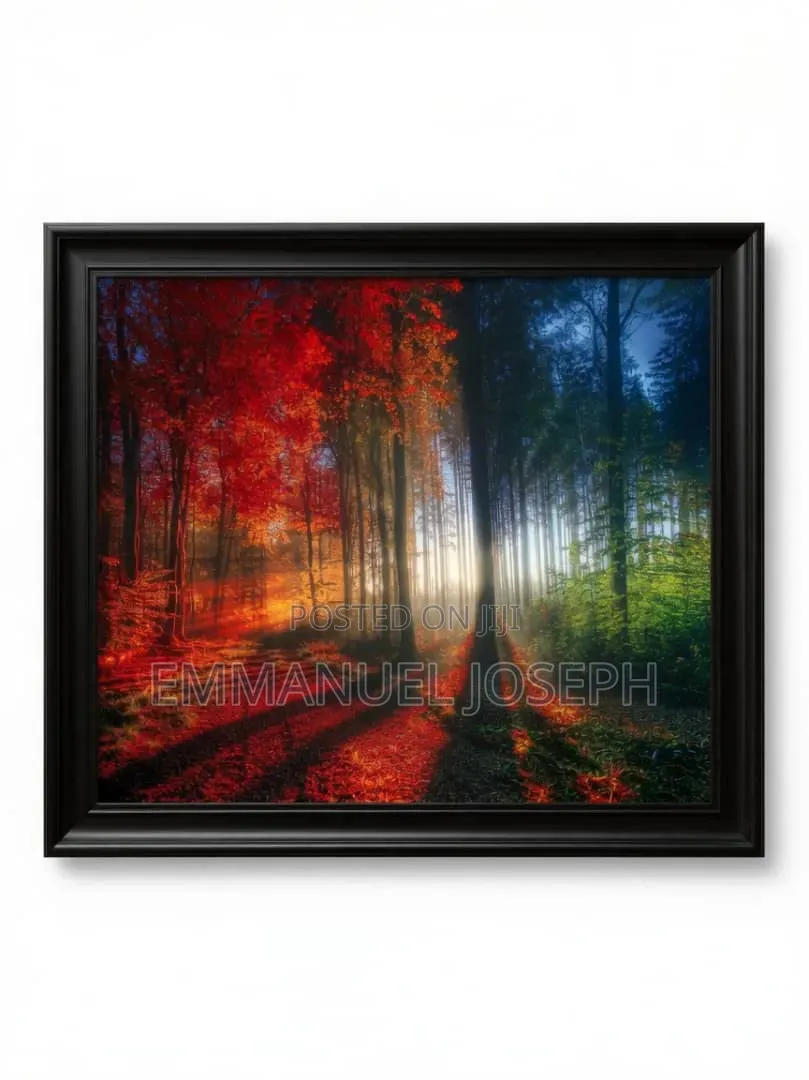 Original Art Frame
