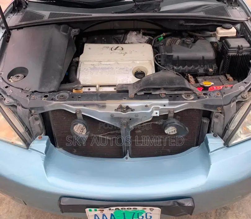 Lexus RX 330 2006 Blue