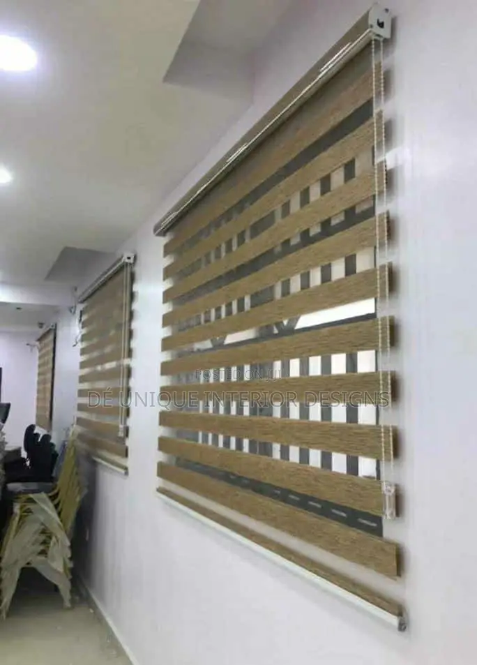 Day and Night Window Blinds!