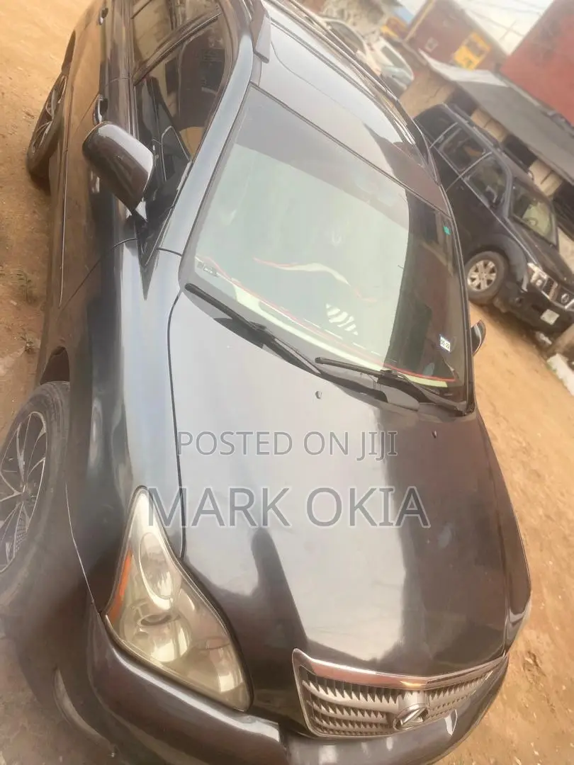 Lexus RX 2007 Gray