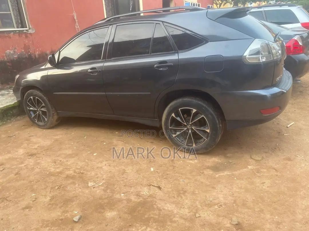 Lexus RX 2007 Gray