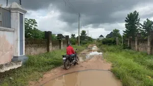 Land for Sales