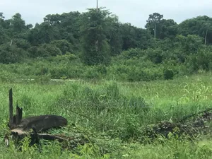 11⁄2 Plots for Sale in Ikorodu