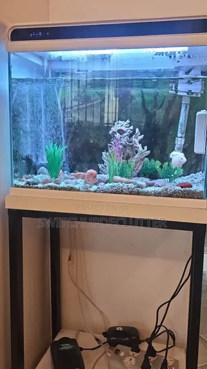 Complete Aquarium Setup – Ready for Your Fish!