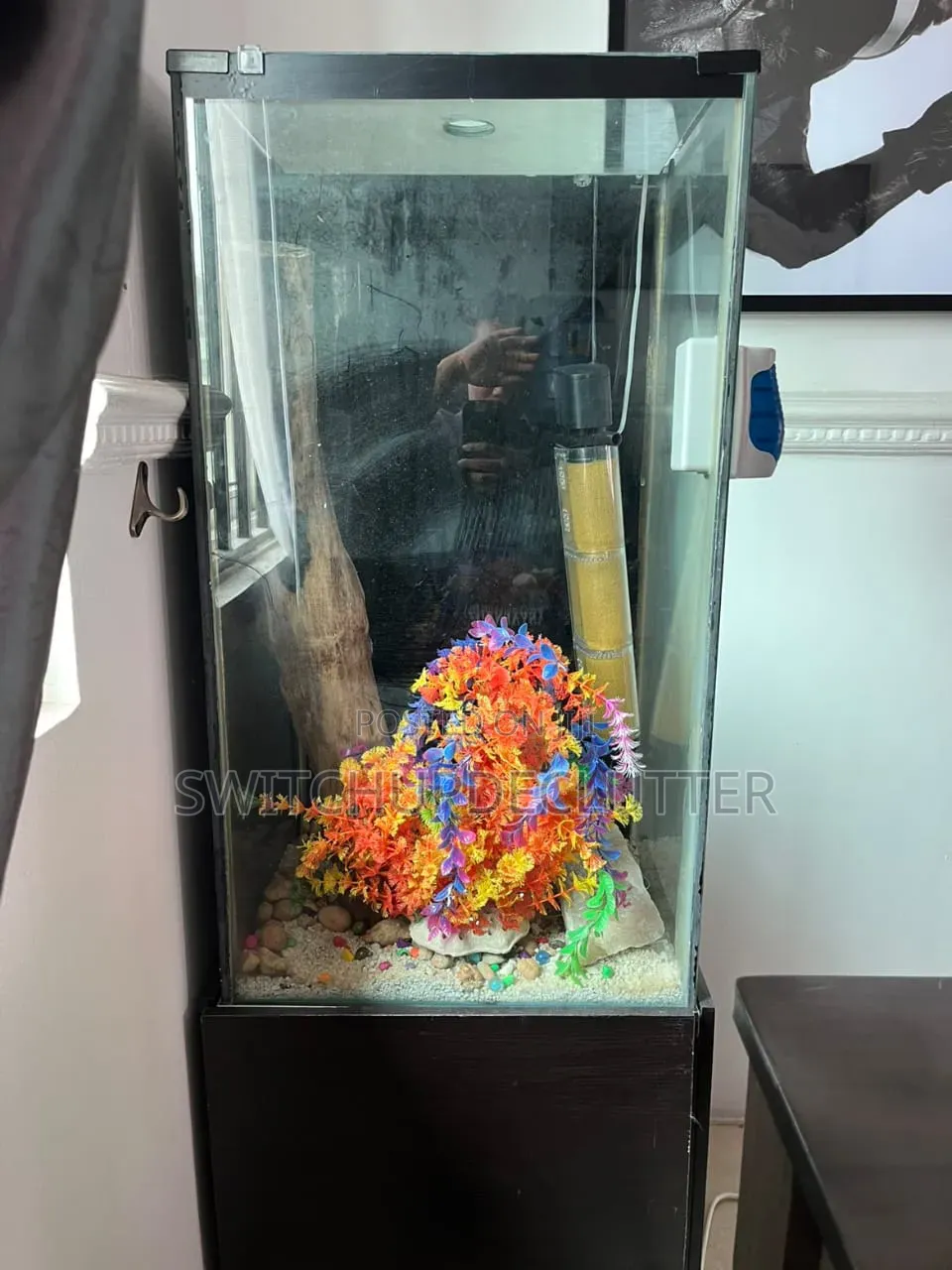 Complete Aquarium Setup – Ready for Your Fish!