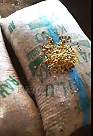 Wholesale Premium Clean Locust Beans (Iru) – Rich Aroma Dirt-Free