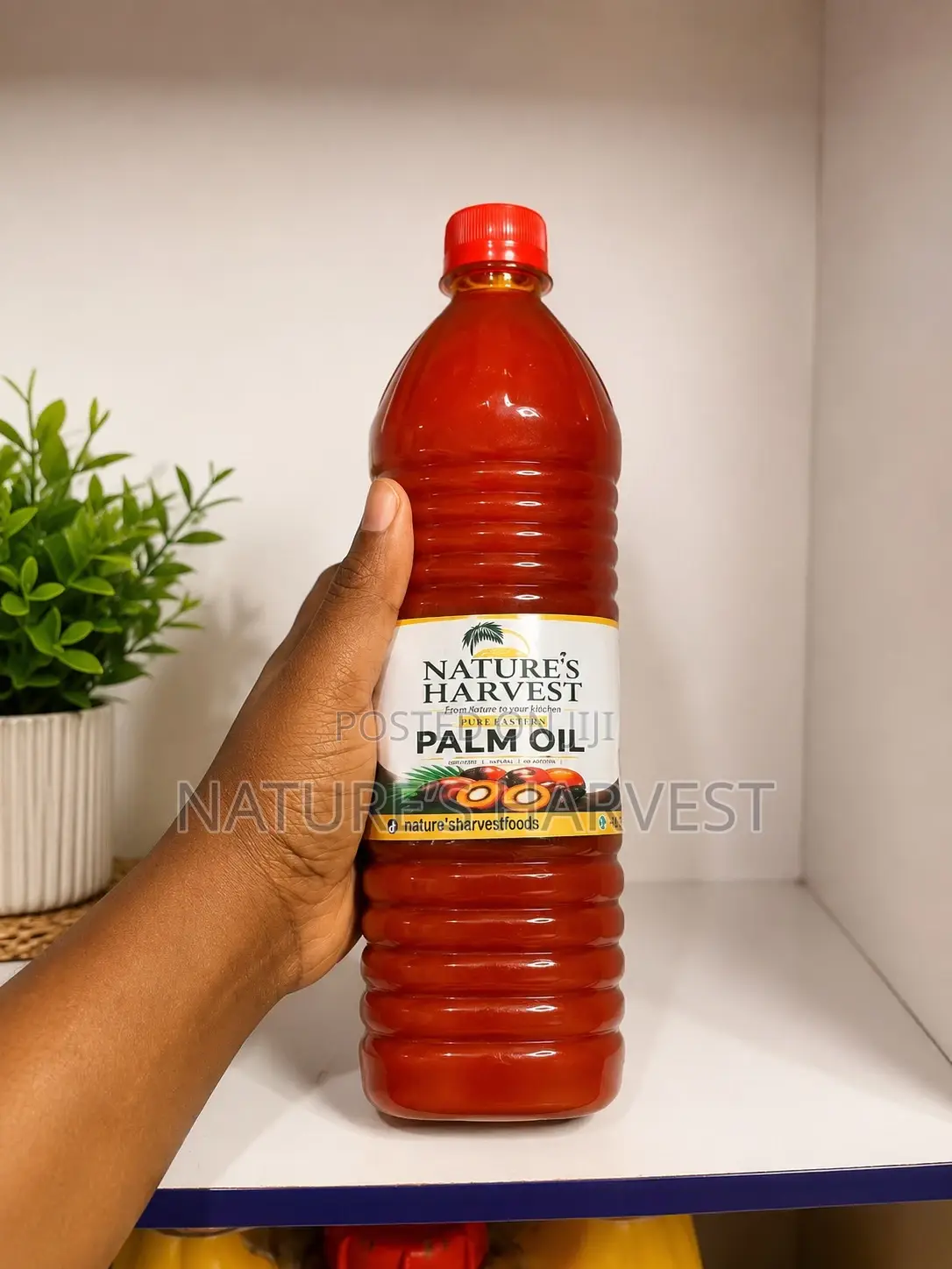 Premium Palm Oil