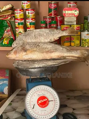 Fresh Frozen Fish 5kg