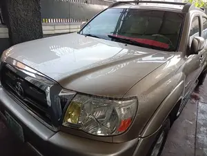 Toyota Tacoma 2010 Gold
