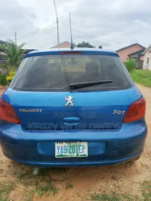 Peugeot 307 2002 Blue