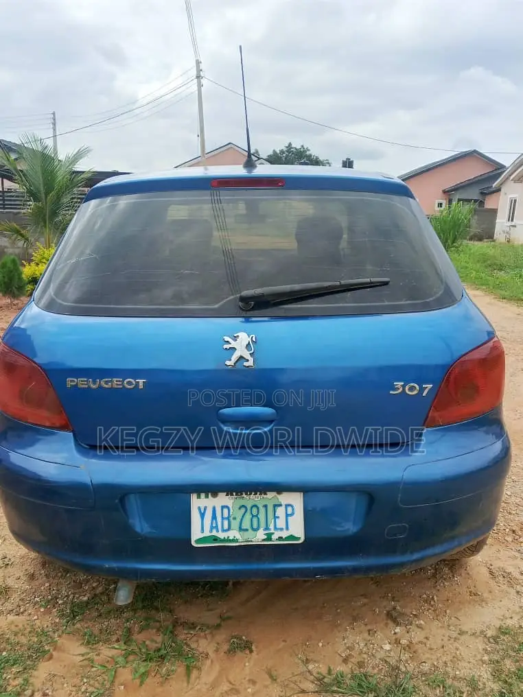 Peugeot 307 2002 Blue