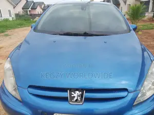 Peugeot 307 2002 Blue