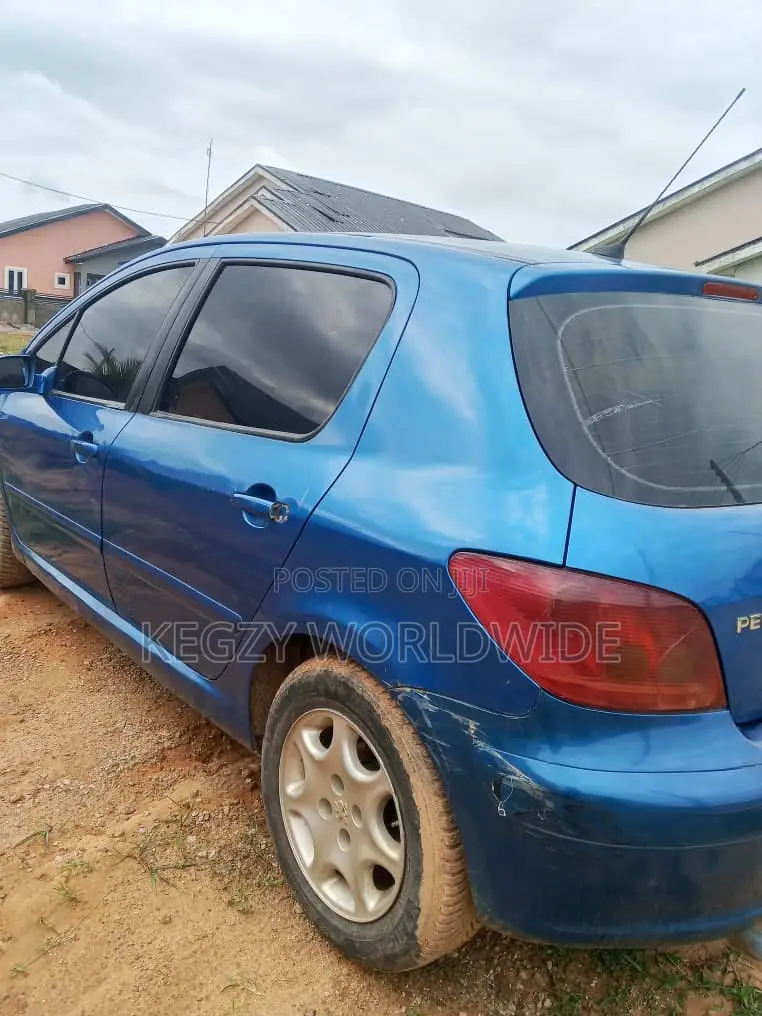 Peugeot 307 2002 Blue