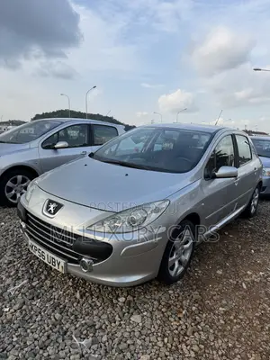 Peugeot 307 2009 Silver