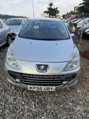 Peugeot 307 2009 Silver