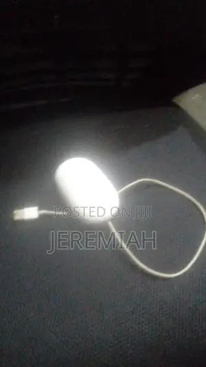 Apple Mouse