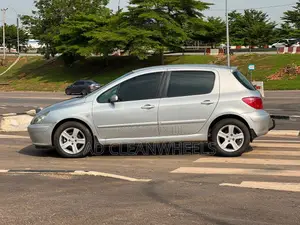 Peugeot 307 2008 Silver