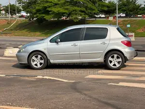 Peugeot 307 2008 Silver