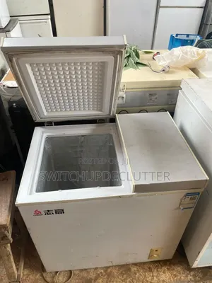 Double Door Chest Freezer