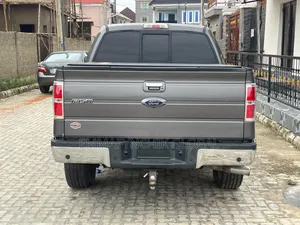 Ford F-150 XLT 2013 Gray