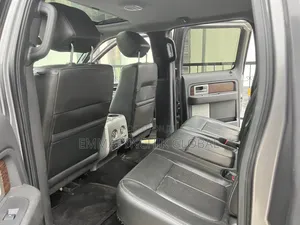 Ford F-150 XLT 2013 Gray