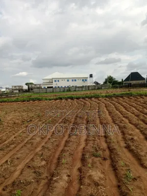 Land for Sale 1 Hecter