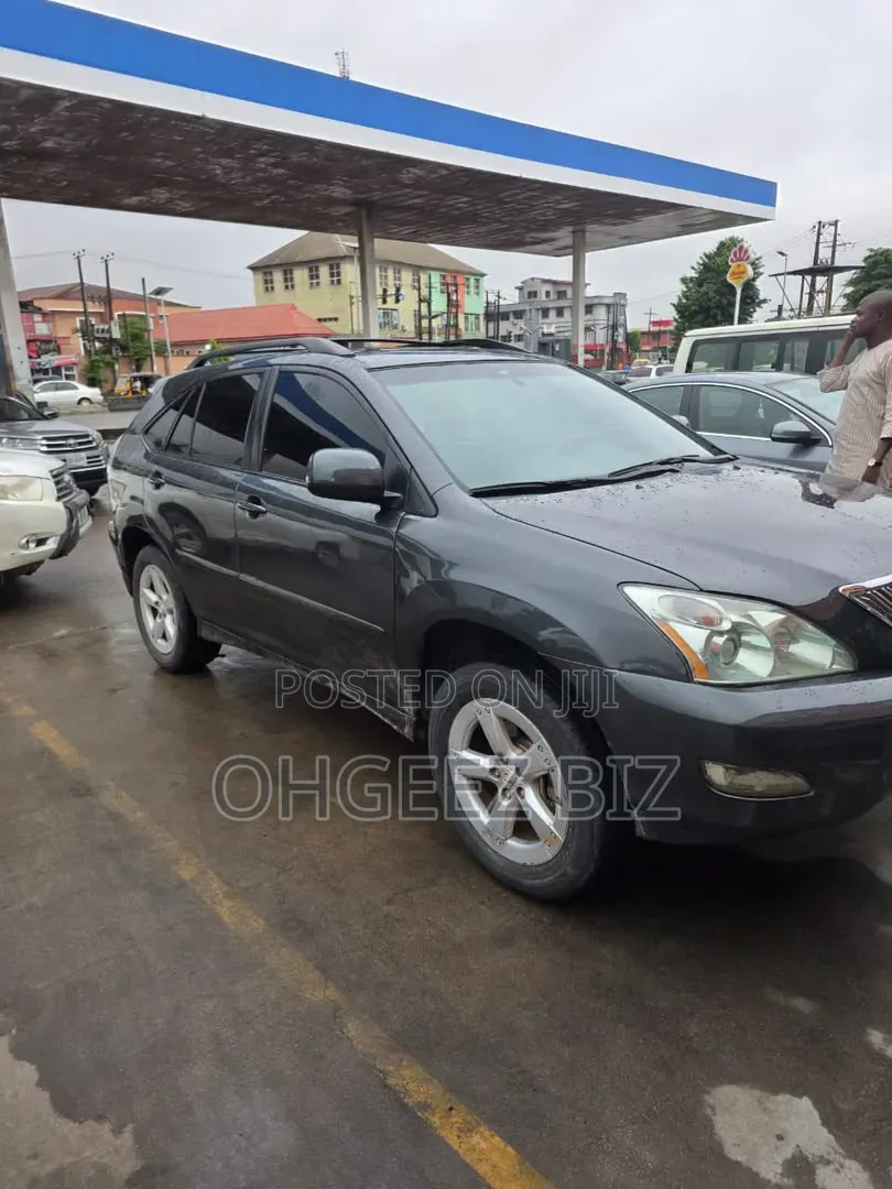 Lexus RX 330 2005 Gray