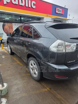 Lexus RX 330 2005 Gray