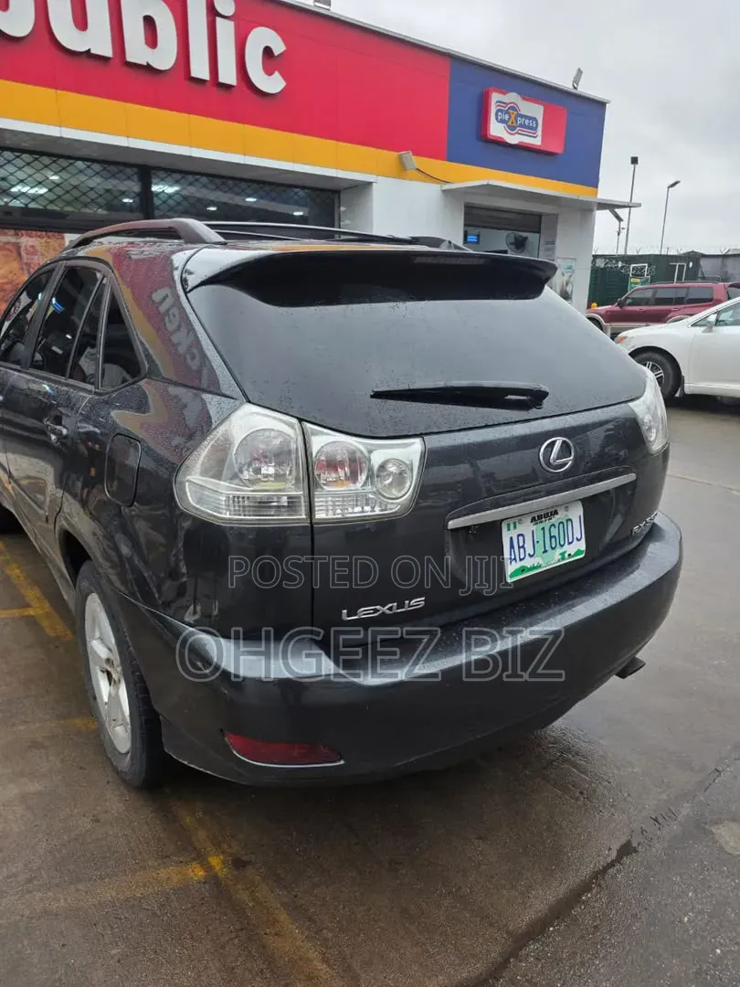 Lexus RX 330 2005 Gray