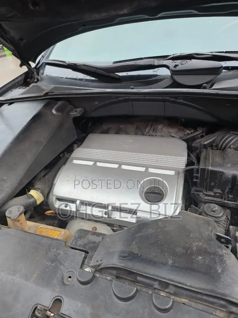 Lexus RX 330 2005 Gray