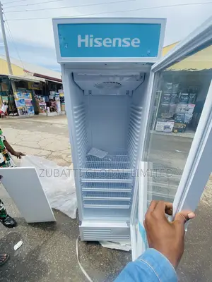 Hisense Chiller 367L