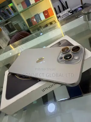 Apple iPhone 16 Pro Max 256 GB Gray