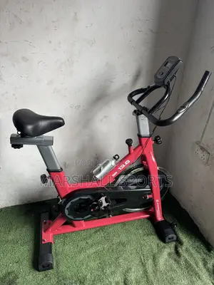 Spinning Bike (Commercial )