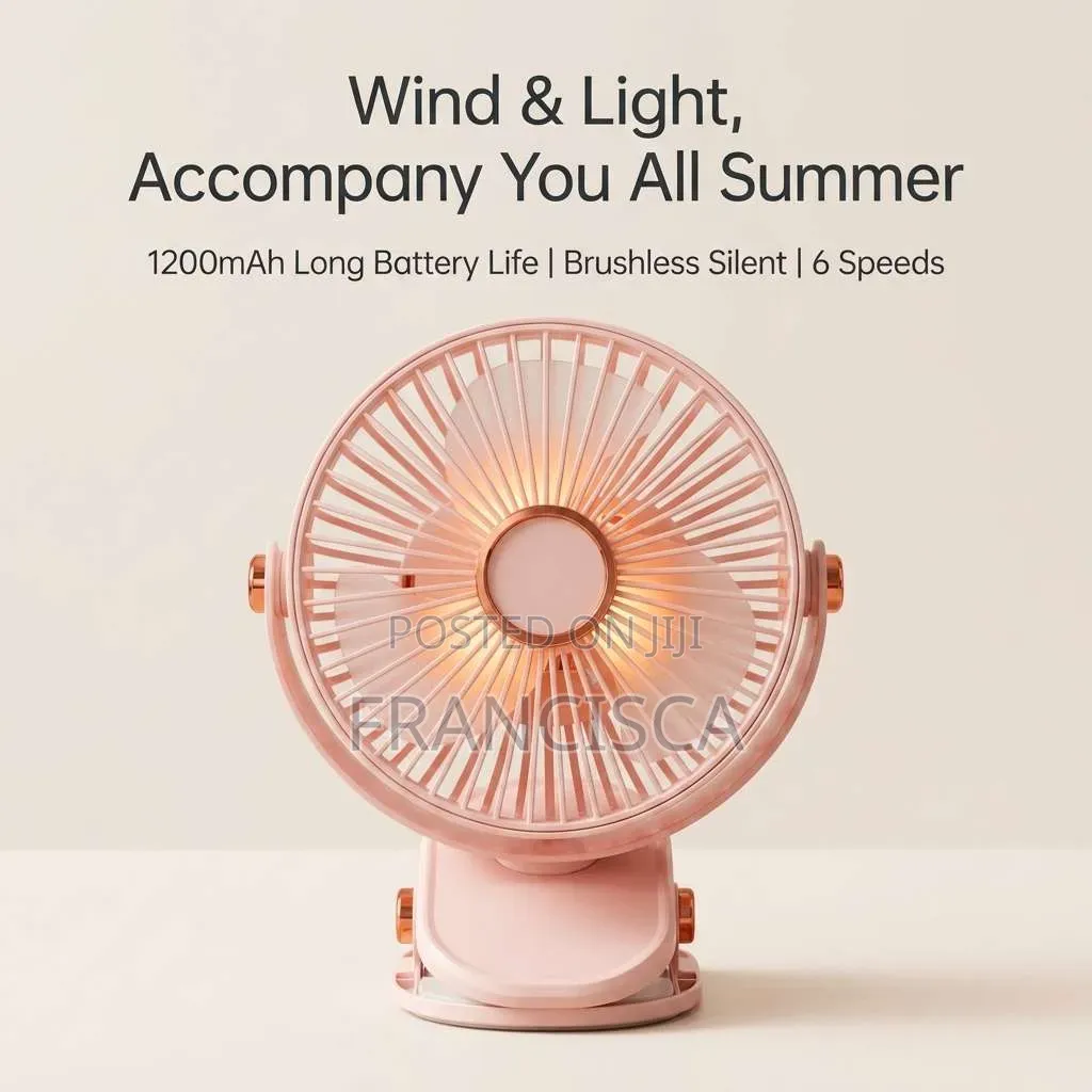 Rechargeable Fan