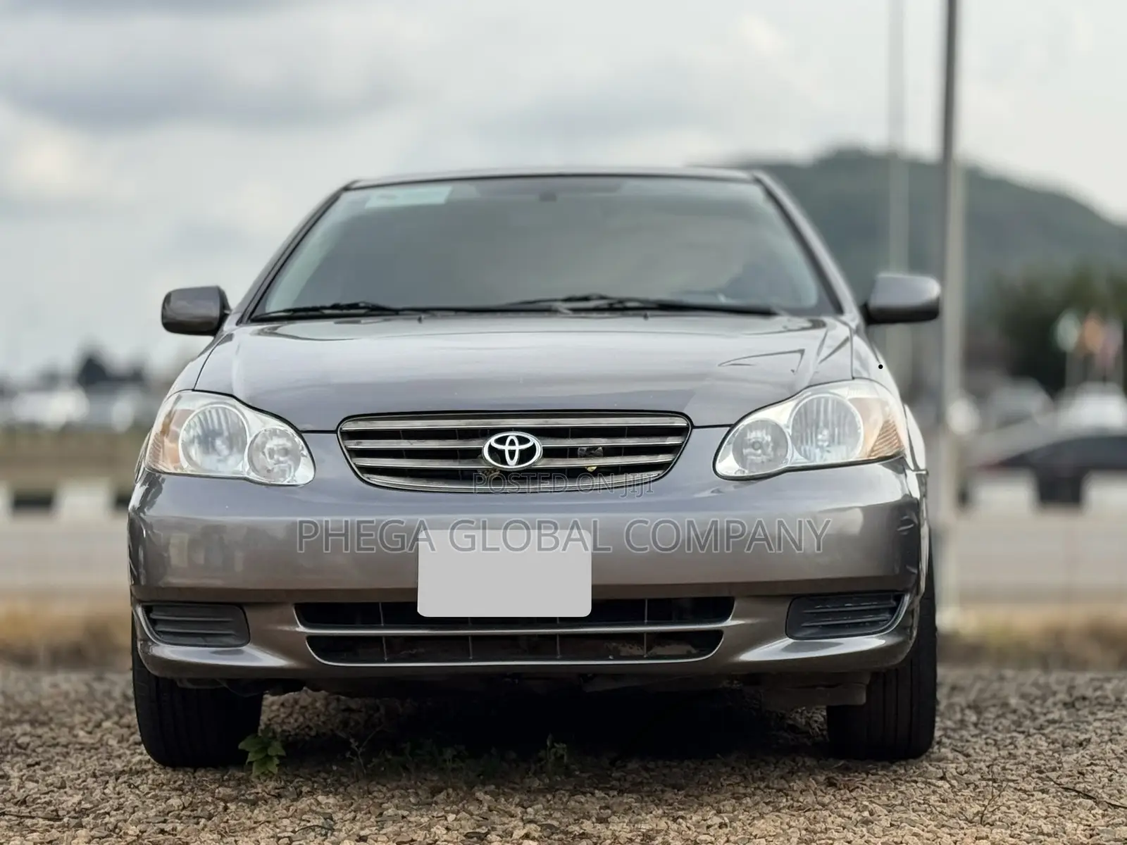 Toyota Corolla 2004 Gray