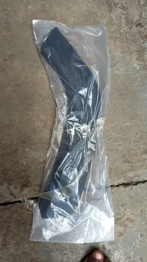 Toyota RAV4 Back Fender Chrome Door Chrome Available