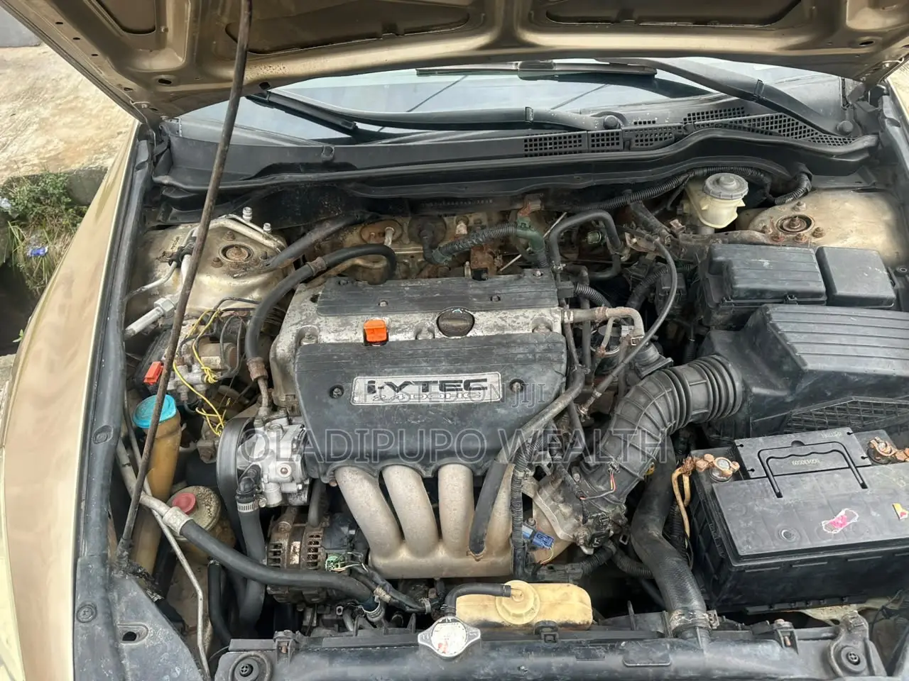 Honda Accord 2004 Gold