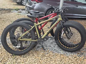 Mountain Bicycles