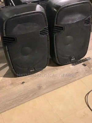 Prosound Pair Speaker