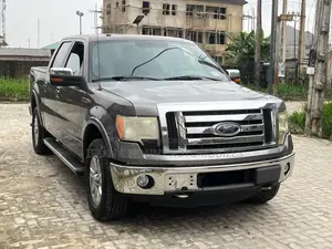 Ford F-150 XLT 2013 Gray