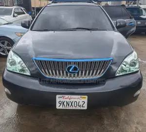 Lexus RX 330 2004 Gray