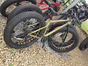 Mountain Bicycles